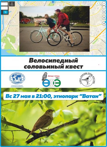 велосипедный квест