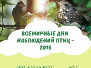 Вижу птиц