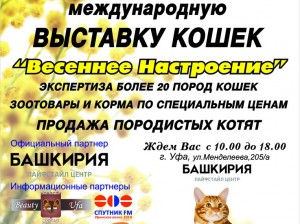 New Look кошки