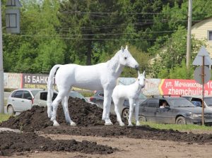 статуя белой лошади с жеребенком