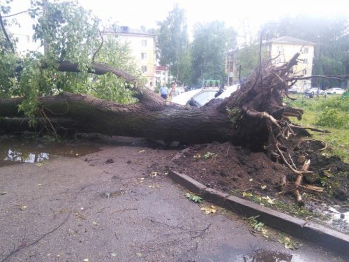 Последствие урагана 23.06.2016