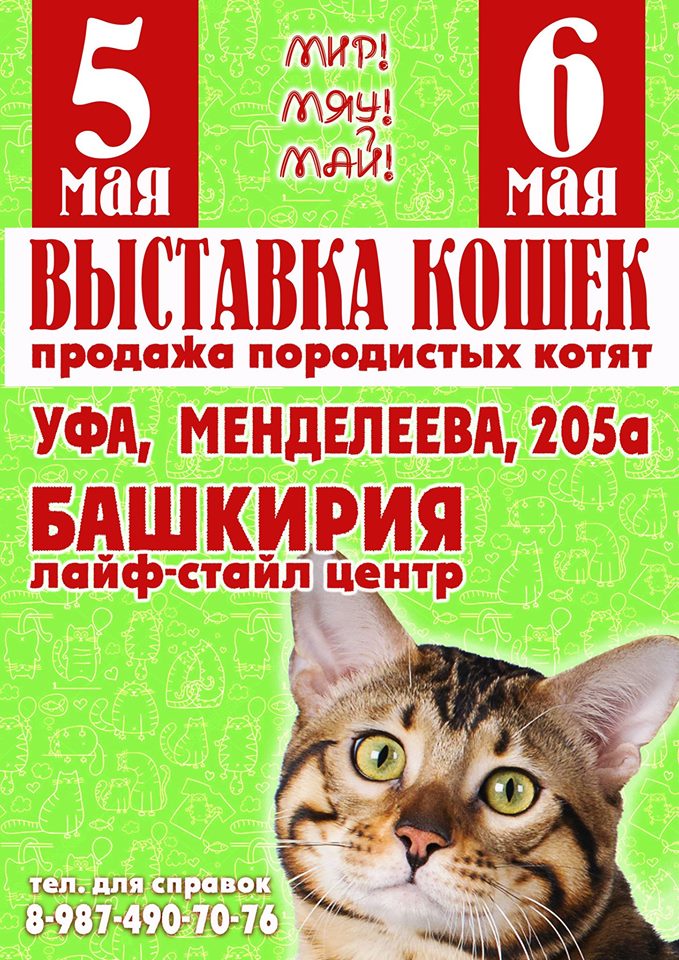 Международную выставку кошек 5-6 мая 2018