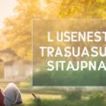 UNDERSTATING THE VALUE OF THE TRANSACTION