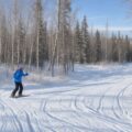 List of Ufa ski trails